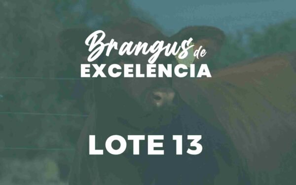 13A y 13B