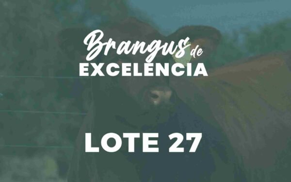 27A y 27B