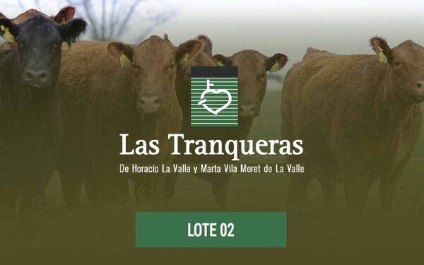 Vientres PC y PR - Lote 02
