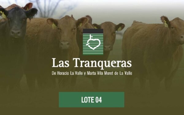 Vientres PC y PR - Lote 04