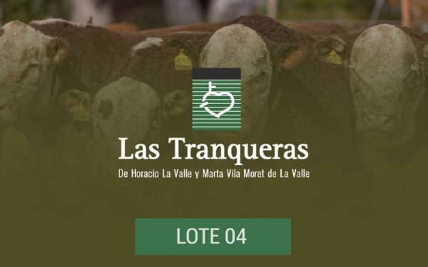 PC y PR - Lote 04