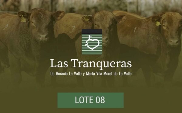 PC y PR - Lote 08