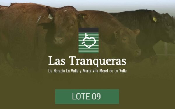 PC y PR - Lote 09