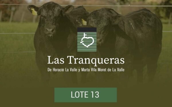 PC y PR - Lote 13
