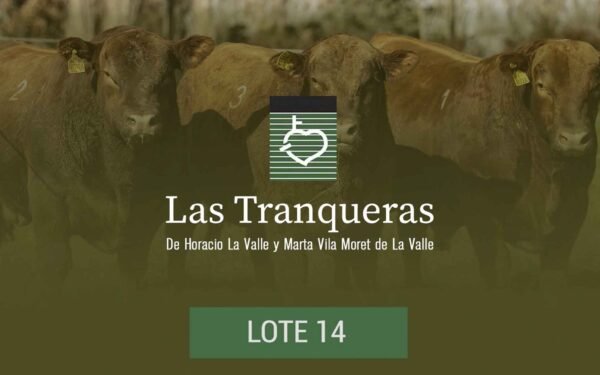PC y PR - Lote 14