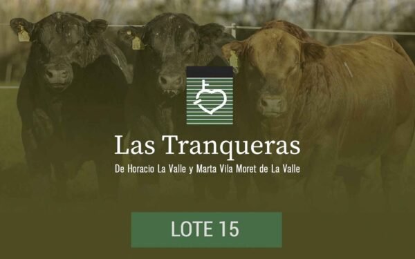 PC y PR - Lote 15