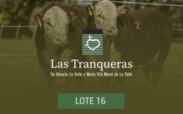 PC y PR - Lote 16