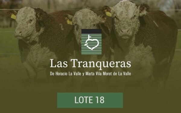 PC y PR - Lote 18