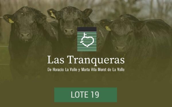 PC y PR - Lote 19