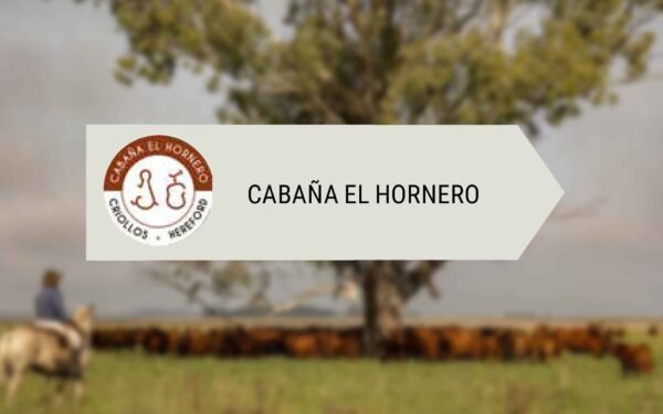 El Hornero - Lote 01