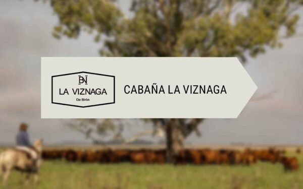 La Viznaga - Lote 01