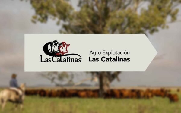 Las Catalinas - Lote 01