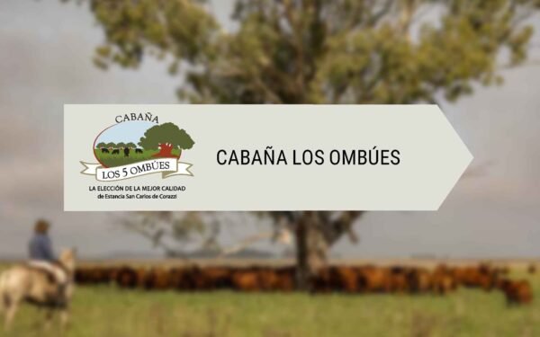 Los 5 Ombúes - Lote 01