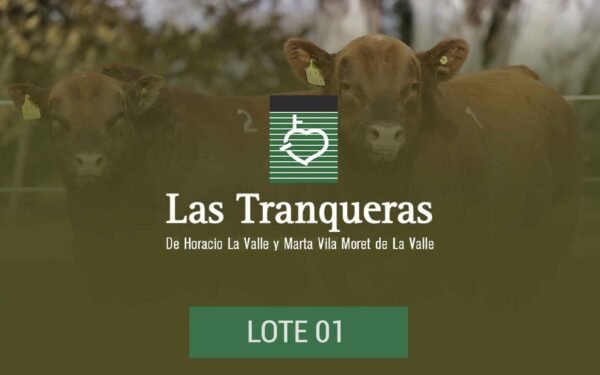 PC y PR - Lote 01